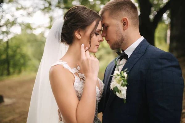 Portret van een prachtige bruid en knappe bruidegom in het bos — Stockfoto