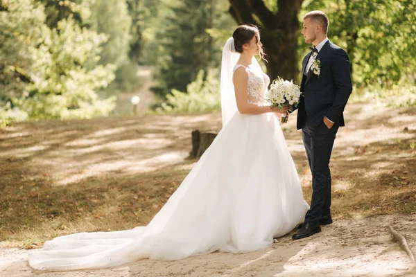 Jeunes mariés marchant dans la forêt. Heureux couple marié — Photo