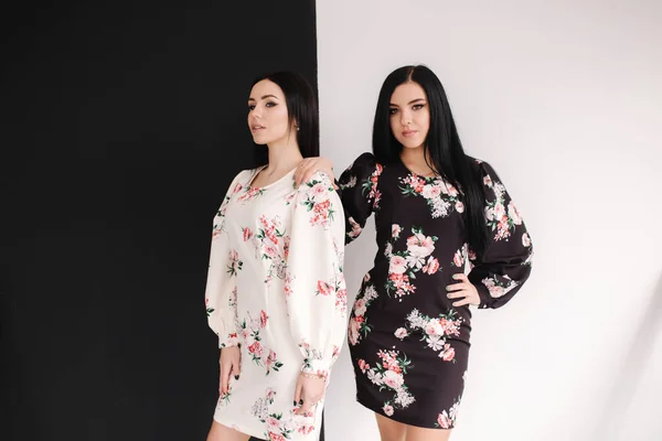 Дві моделі брюнетки в весняних сукнях позує в студії. Чорно-білий фон — стокове фото
