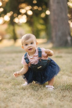 Sekiz aylık bebek ilk kez ayağa kalkıyor. Sevimli küçük kız hayatında ilk adımlarını attı. Fantazi bir an. Yaz Parkı