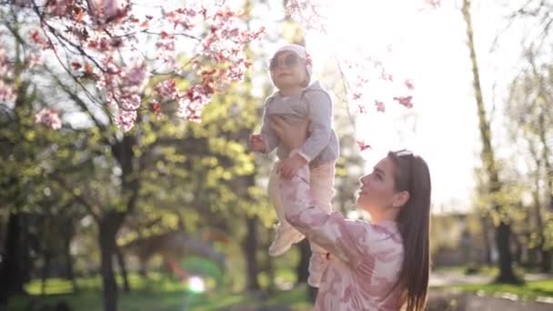 Vacker mamma med bedårande dotter står vid rosa blommande träd. Lycklig familj tillbringar tid på mors dag. Söt liten flicka med mor — Stockvideo