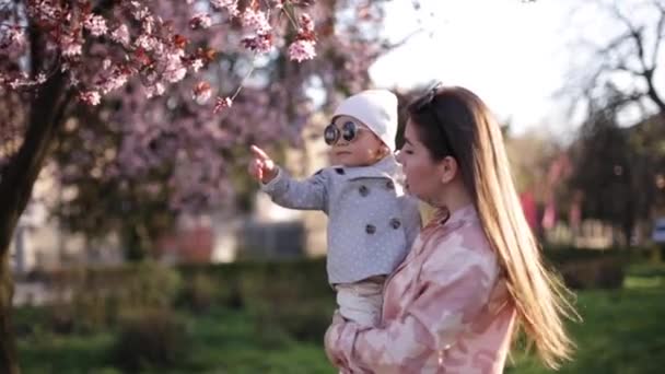 Hermosa mamá con adorable hija de pie por el árbol de flores de color rosa. La familia feliz pasa tiempo en el Día de las Madres. Linda niña con madre — Vídeos de Stock