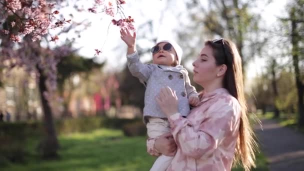 Güzel anne ve güzel kızı pembe çiçek açan ağacın yanında duruyor. Mutlu aile anneler gününde vakit geçirir. Annesiyle küçük tatlı bir kız. — Stok video