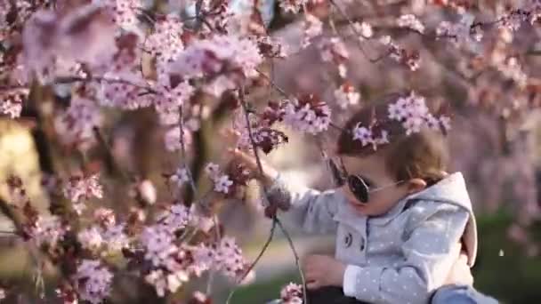 Urocza córeczka siedząca na szyi ojca i pachnąca różowymi kwiatami z kwitnącego drzewa. Szczęśliwa rodzina — Wideo stockowe