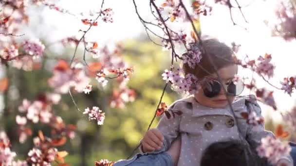 Adorável filhinha sentada no pescoço dos pais e cheira flores cor-de-rosa da árvore florida. Família feliz — Vídeo de Stock