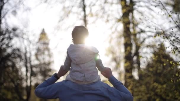 Adorable hijita sentada en el cuello de los papás y riendo. Joven padre caminar con su linda hija en el parque — Vídeo de stock