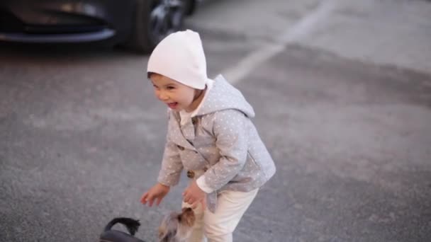 Carina bambina in cappotto grigio giocare con il cagnolino fuori. Il terrier dello Yorkshire gioca e salta. Adorabile ragazza divertirsi con animale domestico — Video Stock