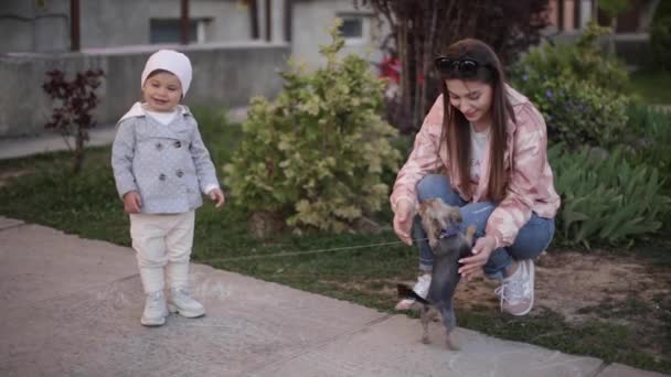 Schattig klein meisje met haar moeder spelen met kleine hond buiten. Yorkshire Terrer spelen en springen. Schattig meisje ave plezier met huisdier — Stockvideo