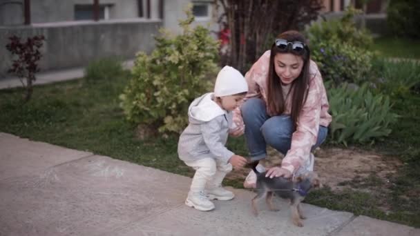Мила дівчинка з мамою бавиться з маленькою собакою надворі. Йоркширський тер'єр грає і стрибає. Приваблива дівчина веселиться з домашнім улюбленцем. — стокове відео