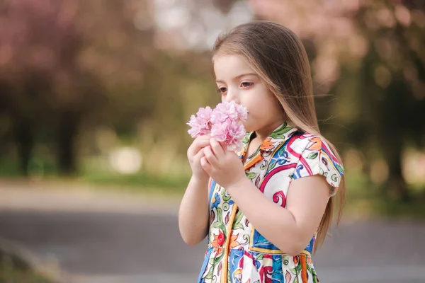 Очаровательная маленькая девочка в красивом платье держит цветы в руке. Дерево Сакура в парке. Модель женского пола — стоковое фото