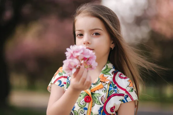 Adorable little girl in beautiful dress hold flowers in hand. Sakura tree in the park. Female kid model — Stock Photo, Image