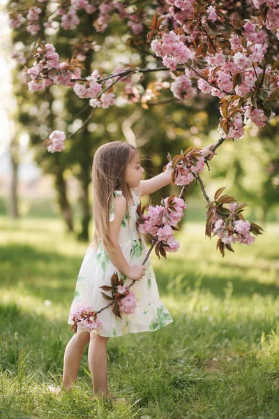 Маленька дівчинка гуляє по траві босоніж біля рожевого дерева сакура в парку. Кінець карантину — стокове фото