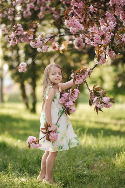 Маленька дівчинка гуляє по траві босоніж біля рожевого дерева сакура в парку — стокове фото