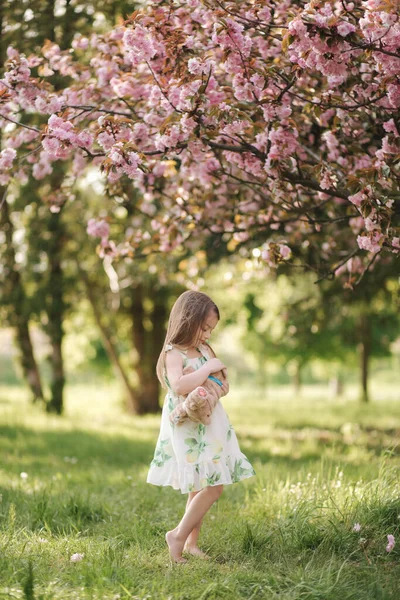 Маленька дівчинка гуляє по траві босоніж біля рожевого дерева сакура в парку. Малюк обіймає плюшевого ведмедя — стокове фото