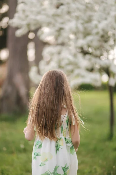 Вид ззаду маленька дівчинка в білій сукні ходить босоніж до квітучого дерева. Лінг волосся мила дівчина — стокове фото