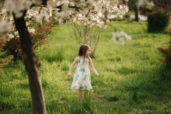 Adorable kid walking barefoot on green grass and spin around by beautifull flowering tree. Happy little girl waklkafter ending quarantine