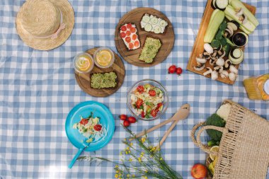 Piknik sepetinin üstünde sağlıklı vejetaryen sandviçler ve parkta mavi kareli battaniye. Taze meyve, sebze ve portakal suyu. Vegan piknik konsepti