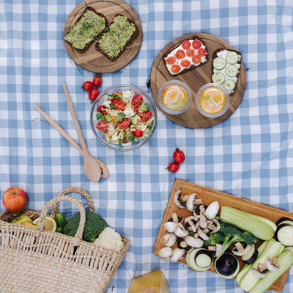公园里,带着健康的素食三明治,蓝色格子毯子的野餐篮的头像.新鲜水果、蔬菜和橙汁.野餐的概念 — 图库照片