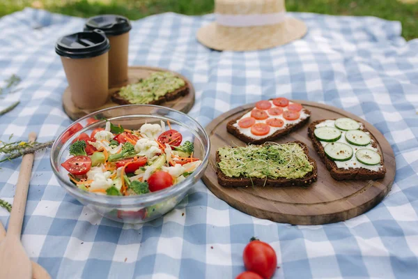 纯素食野餐咖啡。公园里的新鲜色拉，蓝色格子毯子上有素食三明治 — 图库照片