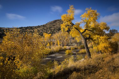 Carson River Nevada düşme sırasında. Su pürüzsüz olarak işlemek için gün ışığından yararlanma uzun pozlama.