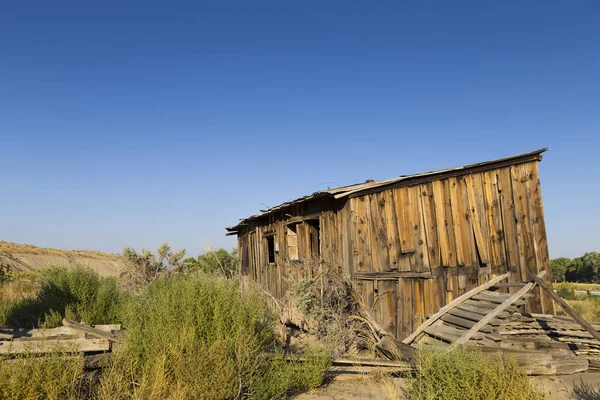 Opuszczona shack na pustyni Nevada — Zdjęcie stockowe