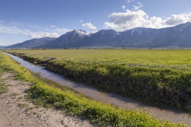 Irrigation Ditch in Carson Valley, Nevada clipart