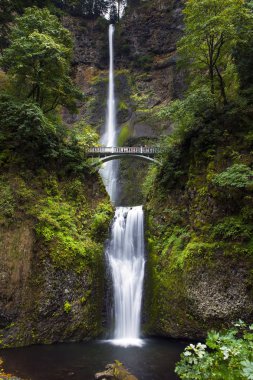 Columbia River Gorge, Oregon Multnomah Falls