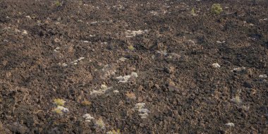 Bir alan lav lav yataklar Milli Parkı