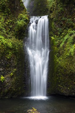 Alt Multnomah Falls, Columbia River Gorge, Oregon