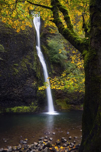 Horsetail Falls in the Columbia River Gorge with fall color in Autumn — Stock Photo, Image