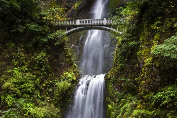 Multnomah Falls no desfiladeiro do rio Columbia, Oregon — Fotografia de Stock