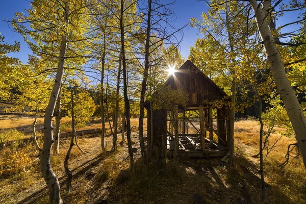 Ancienne cabane en peuplier faux-tremble couleur automne — Photo