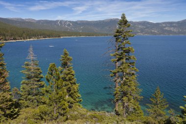 Lake Tahoe California güzel mavi gökyüzü ve su ile. Ormanlık kıyı.