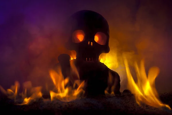 Skull with Burning Flames and Gold Coins — Stock Photo, Image