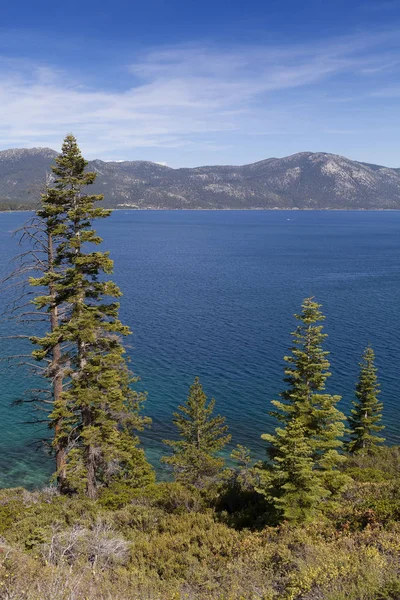 Lago Tahoe California con bellissimo cielo blu e acqua. Litorale boschivo . Immagini Stock Royalty Free