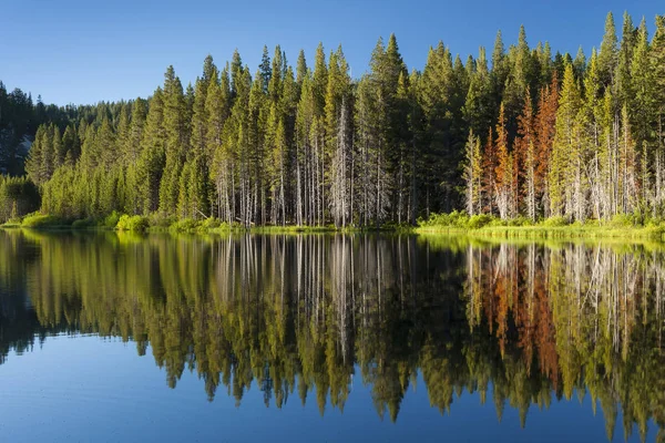 Beautiful mountain lake with tree line and reflections in the Tahoe Basin — Stock Photo, Image