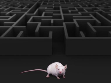 White mouse at maze exit. clipart