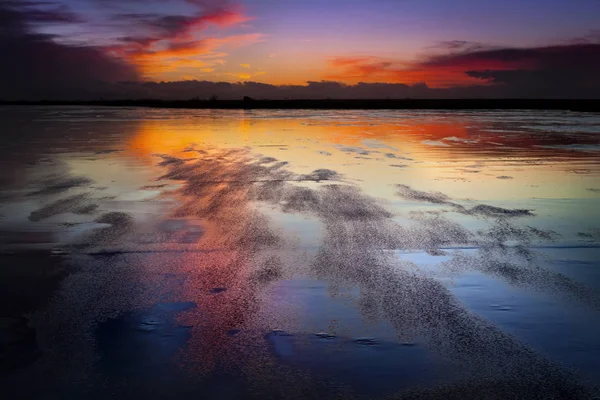 Der Wind bläst die Wasseroberfläche in einem Teich bei Sonnenuntergang ab. sehr starker Wind. — Stockfoto