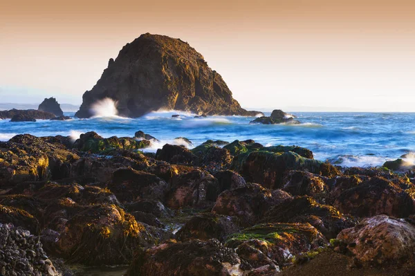 Point Reyes Sea Shore Landscape with sea stacks — Stock Photo, Image