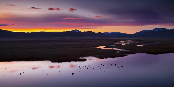 在加利福尼亚州日落时的湿地。江带领在远方 — 图库照片
