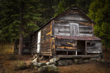 Grover Hot Springs, Ca yakınındaki ormanda eski ahşap kabin