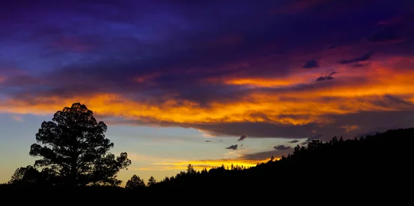 北カリフォルニアの夕日の空の下の木が山の範囲 — ストック写真