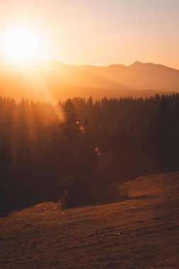 Polonya Tatra Dağlarının manzarası