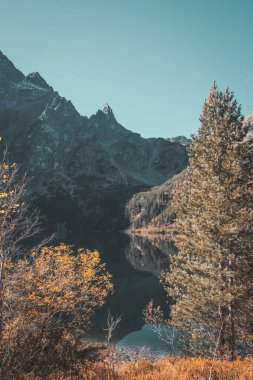 Polonya Tatra Dağlarının manzarası