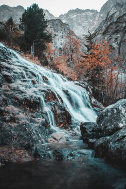 Vahşi Nehir Antik Ormanda, Zakopane, Polonya