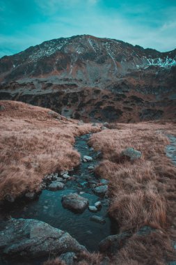 Polonya Tatra Dağlarının manzarası