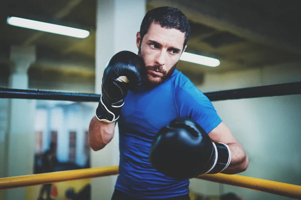 Lutador masculino em luvas de boxe — Fotografia de Stock