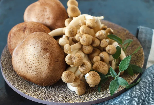 Surový hnědý hub a bylin, zblízka — Stock fotografie