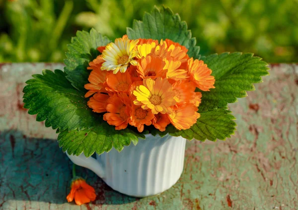 Bouquet of wild marigold flowers — Stock Photo, Image