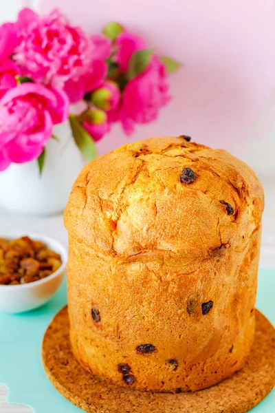 Panettone. Geleneksel İtalyan kutlama pastası — Stok fotoğraf